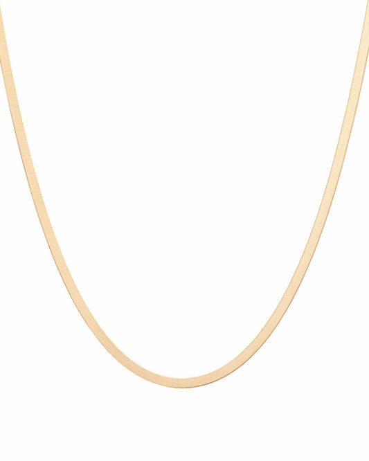 Aurate Gold Herringbone Chain Necklace | Universal Standard